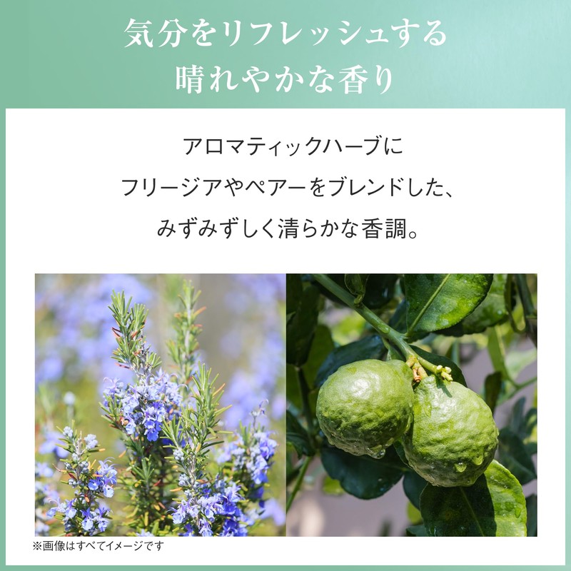 AYURA [Healing Gift] Bath Fee & Hand Cream Set [Meditation