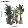 Condessacity Wall Stickers, Plants, Greenery, Potted Plants, Greenery, Scenery, Removable