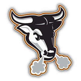 Durham Bulls MiLB Baseball Head Logo Vinyl Art Graphic Sticker Bumper Decal