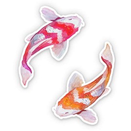 GT Graphics Express Pretty Watercolor Koi Fish - Vinyl Sticker Waterproof Decal