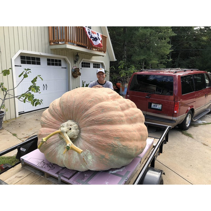 Ron Wallace's Whoppers Giant Pumpkin Seeds (5 Seeds per Package)