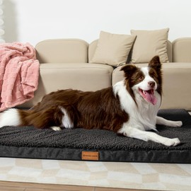 Patas Lague Orthopedic XL Dog Bed for Large Dogs 42''X28'', Egg Crate Foam Big Large Dog Beds with Removable Washable Cover,Waterproof Pet Bed Mat, Black