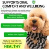 Antibiotics for Fogs,Dog Antibiotics,Daily Support Drops for Dog – 60ml