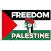 Palestine Flag Large Palestinian 3x5 FT Freedom For Palestine Support