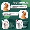 Dog Cone Collar Soft Cone for Medium Dogs After Surgery