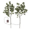 Evergreen Eucalyptus Branch, 32 LED Lights Set of 2