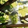 DECYOOL 30 Pack 8 x 12 Inches Fruit Protection Wire