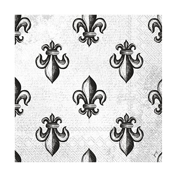 Mardi Gras Party Napkins- 40 Count | 2 packs of