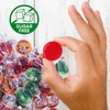 Sugar Free Hard Candy Assortment - 1 Pound Approx. 75