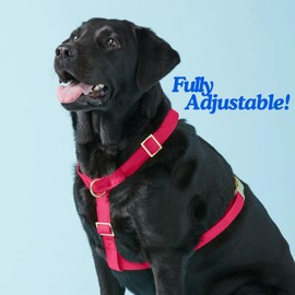 Bark Duke Indestructible Dog Harness, Ergonomic Customizable Sizing, No Pull, No Escape, Front + Back Leash Clip, Metal Buckle and Adjusters (Navy Blue Color, Large)