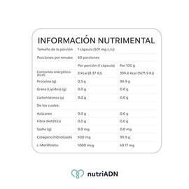 nutriADN – Methyl Folate Support (1000 mcg) – Suplemento de Metilfolato 60 Cápsulas – Fuente de Folato Biodisponible - Claridad Mental y Apoyo al Bienestar