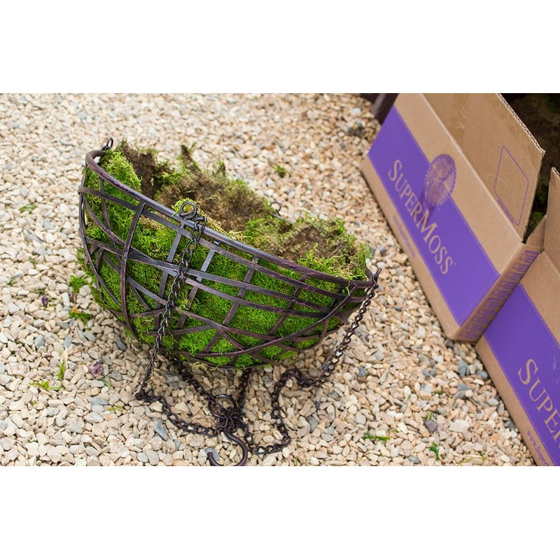 SuperMoss (21508) Preserved Sheet Moss, Fresh Green, 5 Pounds