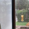 Moyishi One-Way Perforated Black Vinyl Privacy Window Film Electrostatic Adhesive