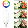 DIAMIAQ B11 LED Light Bulb Candelabra Light Bulbs Candle Bulbs