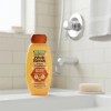 Garnier Whole Blends Shampoo Acondicionador Mieles