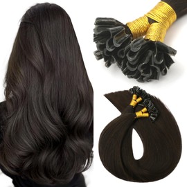 VINBAO U Tip Hair Extensions Human Hair, Color 2 Darkest Brown 40g 50s, Keratin Hot Fusion K Tip Hair Extensions, U Tips Extensions Real Human Hair Natural Straight 14inch U Tip #2