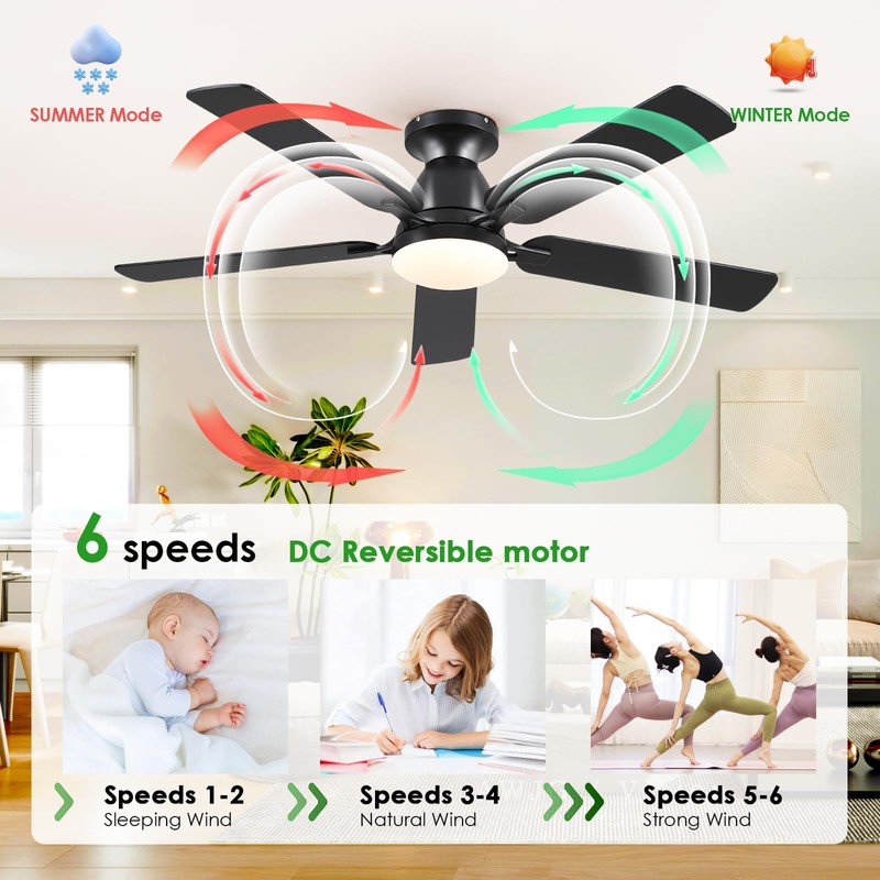 Ceiling Fans with Lights- 52" Low Profile Indoor Ceiling Fan