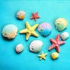 Fridge Magnets, Set of 12 Sea-Themed Decorative Magnets – Ocean-Inspired