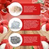 Nourishlife Santa Cruz Paleo Real Sal Electrolitos Polvo Lichis Hecho