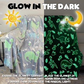 IUNTWEIE Cuddly Blanket Dino 150 x 200 cm, Dinosaur Blanket Luminous Flannel Blanket Sofa Blanket Winter Christmas Gift for Child (Grey)