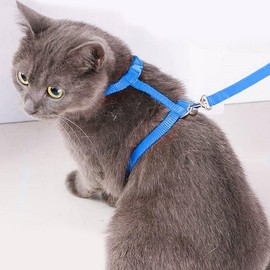 KOMUNJ Escape Proof Cat Harness, Adjustable Nylon Harnesses, Cat Lead Safe Durable Puppy Harness for Rabbits, Kittens, Puppies and Other Small Animals (Blue)