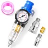 TAILONZ PNEUMATIC PNEUMATIC AIR PRESSURE 5-IN-1/4" BSP AR2000 MINI PRESSURE