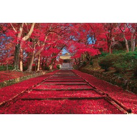 1000 Piece Jigsaw Puzzle, Autumn Foliage Apartment (Kyoto) (19.7 x 29.5 inches (50 x 75 cm)
