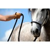 Hunters Saddlery Knotenhalfter für Pferde kompatibel mit Parelli Natural Horsemanship