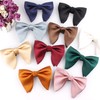 WANYING Men's Oversized Bow Ties with Hook Closure Pre-Tied and