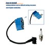 CS-590 Ignition Coil Spark Plug Set Fit for E-cho CS590