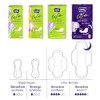 bella Life for Teens Pantiliners Normal Pack of 174 (3