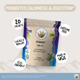 Ancient Paths Spearmint Herbal Tea - Hormone Balance & Gut Support - 100% Pure Dried Spearmint Leaves - Caffeine-Free Spearmint Tea - Sustainable Tea Bags & USA Grown (20 Sachets)