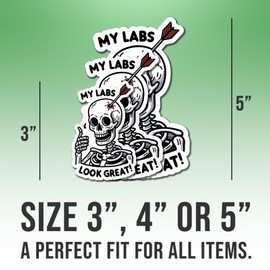 Chronic Illness Stickers Chornic Illness Life My Labs Look Great Cool Vinyl Stickers, Weather-Resistant Sticker for Water Bottles, Laptop, Window, Car Size 3"