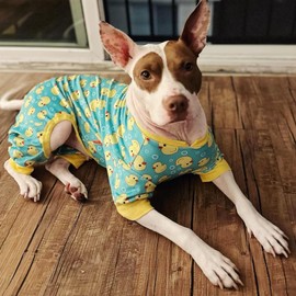 KYEESE KYEESE Dog Pajamas Yellow Ducks Dog Clothes Dog Body Suits After Surgery Dog Surgery Recovery Suit Soft Dog Coat Dog Onesie Dog Costume Cat Clothes Dog Pajamas Medium Sized Dog