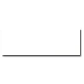 Lynx Opaque WHITE - 18X12 Cardstock Paper - 80lb Cover - 500 PK [639636]