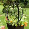 NPV Group Décor Wow Garden Ornament, Small Metal Trellis 19.5"