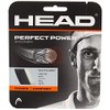 Head Perfect Power Squash Racquet String - Multi-Colour/Black, Size 16