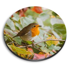 1 x Round MDF Magnet - Cute Red Robin Bird Garden Winter 14318