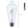 Satco S11527 LED Bulb, 6W (40W Eq), ST19 Vintage Style,