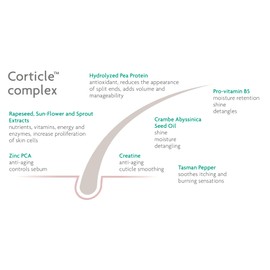 UANS CREMA MOISTURE TREATMENT 180ML