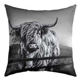 Highland Cow Cushion Cover Grey Bull Cattle Cushion Cover 40 x 40 cm Set of 1 Funny Farm Wild Animal Cushion Cover for Children Teens Adults Western Cowboy Soft Decor Cushion Cover Square