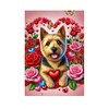 Norwich Terrier - Best of Breed DCR Valentines Day Garden