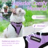 rabbitgoo Cat Harness and Leash for Walking, Escape Proof Soft