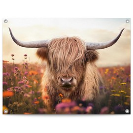 REINDERS Spring Highlander Garden Decoration, Pictures, Wall Decoration, Room Decor, Canvas, Beige, 60 x 80 cm