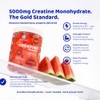 Ultra Lyte Creatine Monohydrate Gummies 5g, 90 Gummies, Watermelon