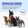 DF Co. Dog Harness | Chafe Resistant Webbing, Adjustable Neck