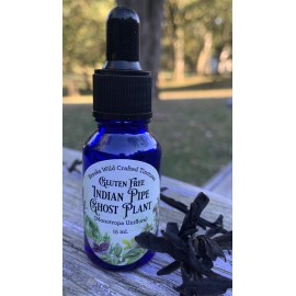 Monotropa  Uniflora Indian Pipe Ghost Tincture Gluten Free Flower In Bottle Drops monotropa