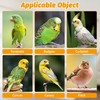 BNOSDM Automatic Bird Water Dispenser 2 Pcs No Mess Parrot