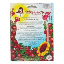 EIVY"S De Mexico 4 peças LA CHICA FRESITA desodorante purificador de ar para carro morango fresco aromatizante