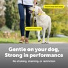 PetSafe Gentle Leader Headcollar No-Pull Dog Collar - Helps Improve